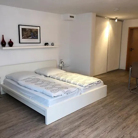 Riesterer Apartment Freiburg im Breisgau